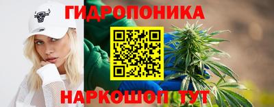 мескалин Кингисепп