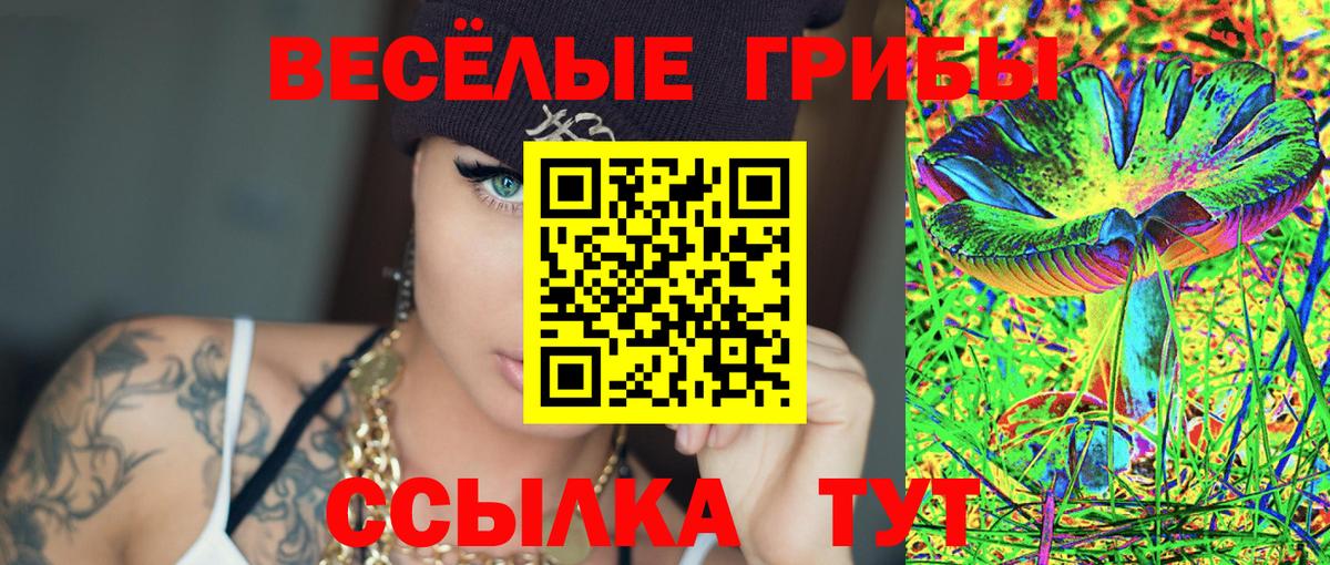 Галлюциногенные грибы ЛСД  Вход с VPN  Михайловка 