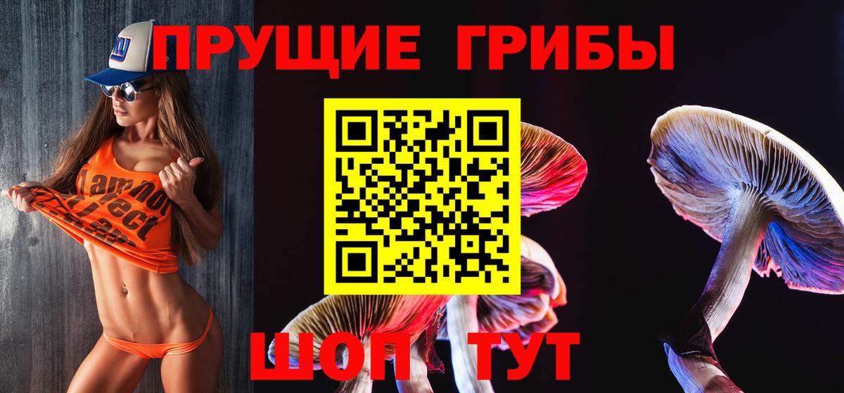 Псилоцибиновые грибы мицелий Михайловка